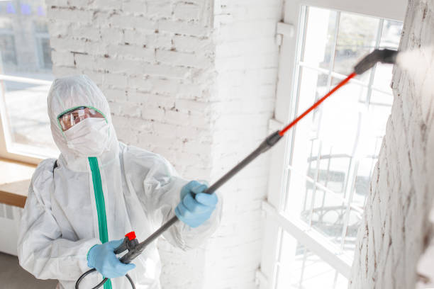 Best Comprehensive Air Testing for Mold Contaminants  in Monument Beach, MA
