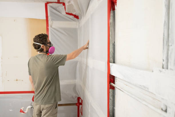  Monument Beach, MA Mold Removal Pros