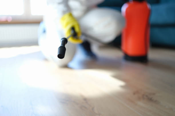 Best Biohazard Mold Removal  in Monument Beach, MA