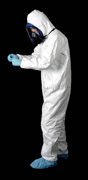 Best Mold Damage Restoration  in Monument Beach, MA