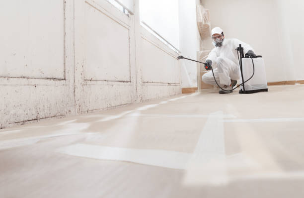 Asbestos and Lead Testing During Mold Inspection in Monument Beach, MA